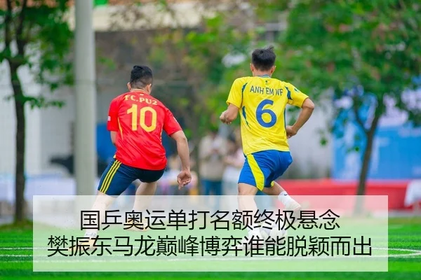 guo-ping-ao-yun-dan-da-ming-e-zhong-ji-xuan-nian-fan-zhen-dong-ma-long-dian-feng-bo-yi-shui-neng-tuo-ying-er-chu-2-738.jpg